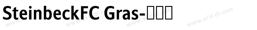 SteinbeckFC Gras字体转换
